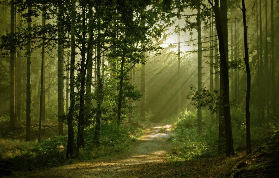 ����Ȼ�Е����Ӯa��ؓ���x��