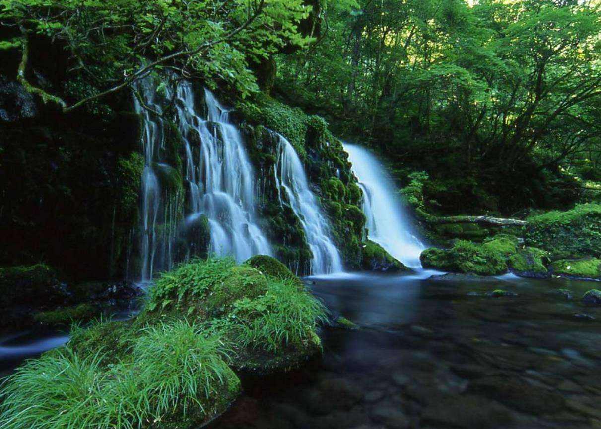 ��Ȼ���Е��a��������ؓ���x��