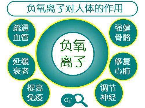 ؓ���x�ӌ����w������