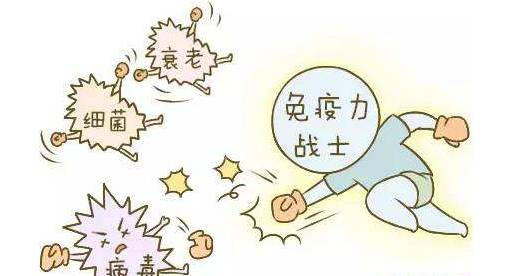 ؓ���x������������