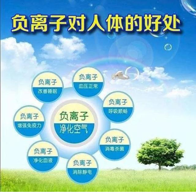 ؓ(f��)�x�ӌ������w����������Ҫ�į��B(y��ng)����