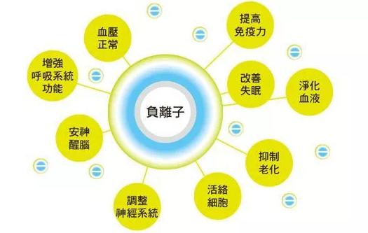 ؓ���x�ӌ����w������