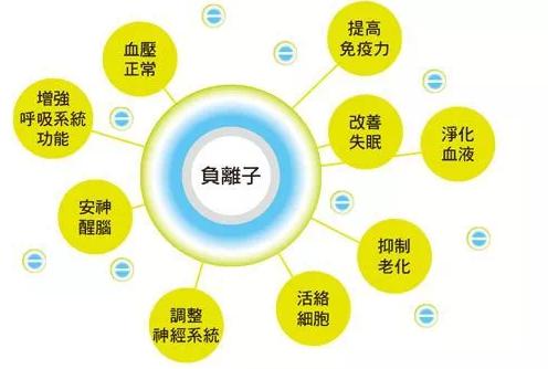 ؓ���x�ӌ����w������