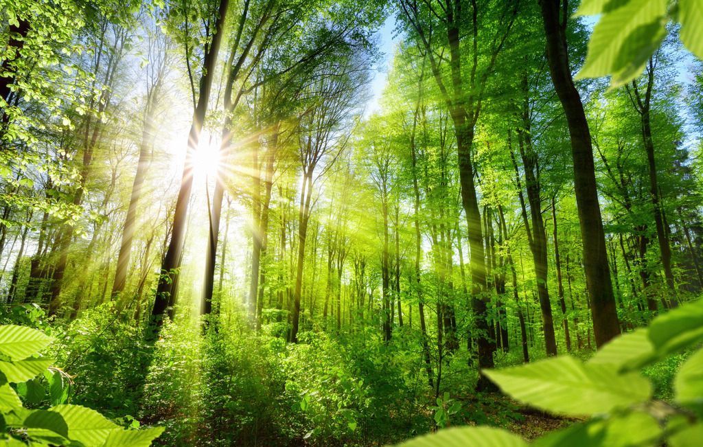 �՚�ؓ�x�ӱȱ���Ʒ���B�������w����Ч