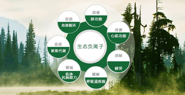 ؓ�x�ӌ��ί�ʧ�ߵ���Ч�Եõ��ƌW�C��