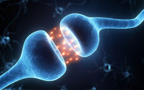 ؓ�x�ӿɸ��ƌW(xu��)����������ߌW(xu��)��(x��)�ɿ�