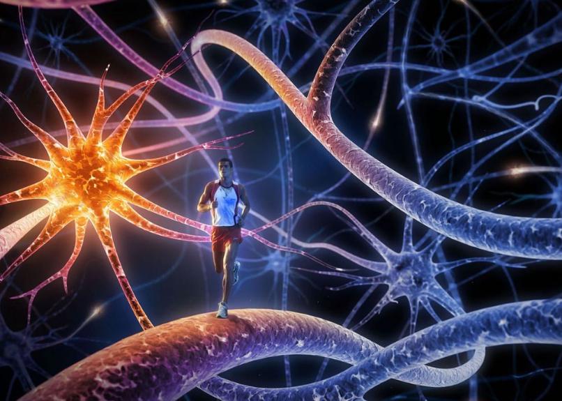 ؓ�x���ί���˥��Ч����Σ�