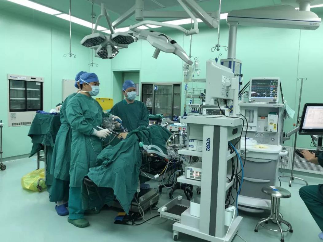 ؓ(f��)�x������������ȫ�������Ƴ�