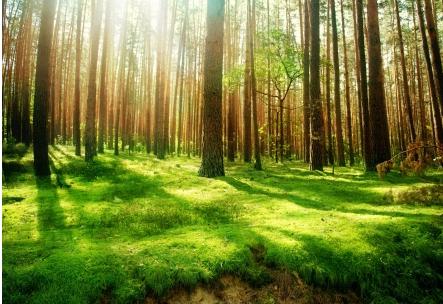 小粒徑負離子對0.3以下顆粒物的去除率及殺毒率均高達99.87% 小粒徑負離子對0.3以下顆粒物的去除率及殺毒率均高達99.87%