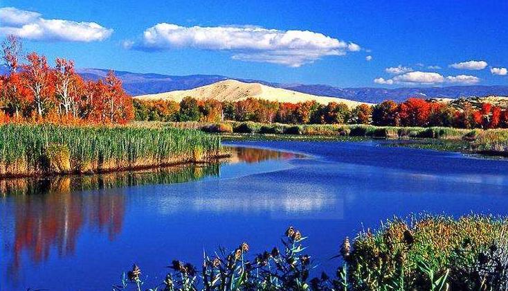 ؓ�x���β������������ߎ�ȥ����