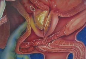 空氣負離子為細胞充電,提高人體自主修復力與自然治愈力 空氣負離子為細胞充電,提高人體自主修復力與自然治愈力