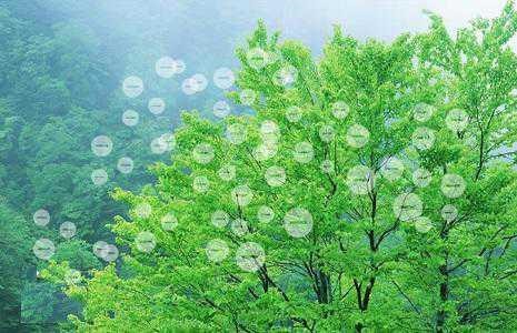 ؓ(f��)�x������Ч���M(j��n)˯��