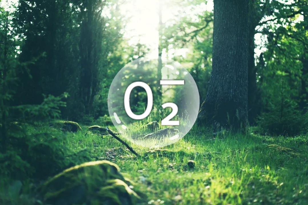 ؓ(f��)���x�ӯ������θ�Ѫ���X��(d��ng)�}Ӳ�����R���t(y��)�W(xu��)��(sh��)��