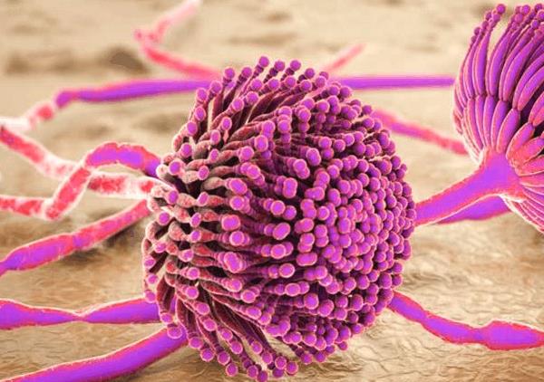 ؓ���x�ӱ��u�顰��������ľS���ء�