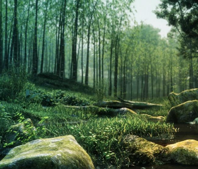 ؓ(f��)�x�ӝ��ˮƽ���t���u(p��ng)�r(ji��)�҃�(n��i)�՚��坍�̶ȵ���Ҫָ��(bi��o)