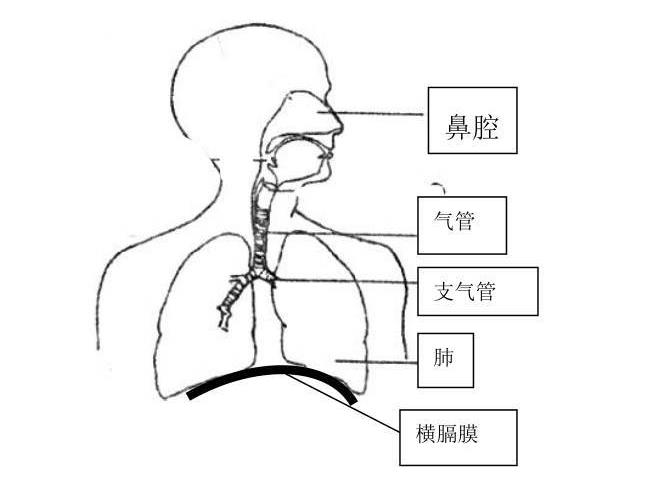 ؓ�x���ܴ��M��ǻ�Ĥ������Ƥ�����γ�