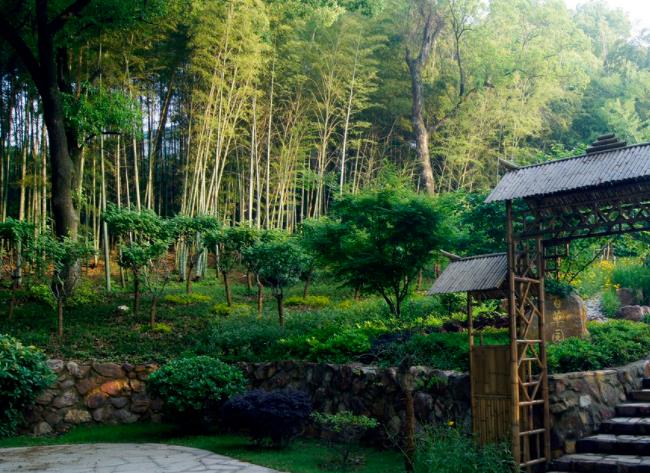 ؓ���x�ӵį��B������Ч����u�������J��