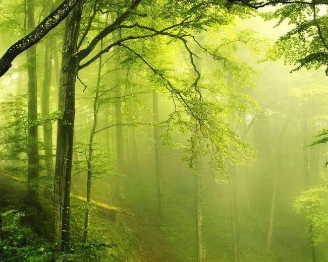 ��ô��ԓ���������w������?����ؓ���x������Ҫ���ֶ�