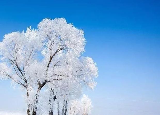 ���҃�����ؓ�x�ӝ�ȣ��Է���w��ð