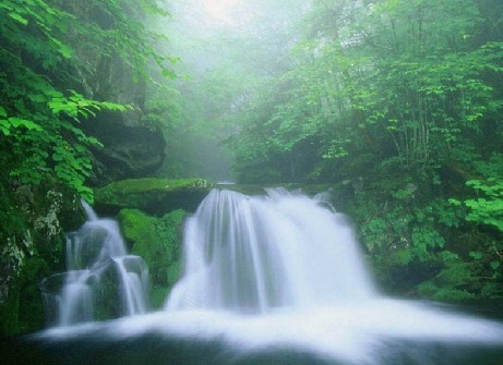 ؓ�x����ʲô����